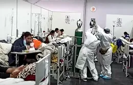 13 người thiệt mạng khi tháo chạy khỏi một hộp đêm vi phạm quy định phòng dịch bệnh COVID-19 tại Peru