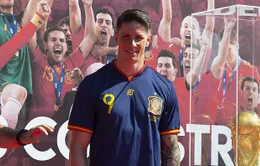 Fernando Torres xác định hướng đi cho tương lai