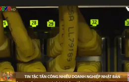 Tin tặc tấn công nhiều doanh nghiệp Nhật Bản