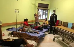 Dịch sốt Chikungunya ở Campuchia không phải bệnh lạ