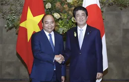 Thủ tướng Abe Shinzo trong mối quan hệ Nhật Bản - Việt Nam