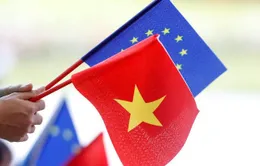 EVFTA có hiệu lực giúp cân bằng cán cân thương mại Việt Nam - EU