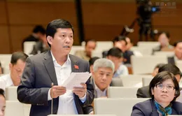 "Đại biểu Quốc hội Phạm Phú Quốc không thể nói có quốc tịch Cyprus là do gia đình bảo lãnh"