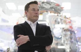 Tỷ phú Elon Musk ôm mộng hợp nhất trí tuệ nhân tạo với trí não con người