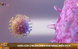 SARS-CoV-2 ngăn chặn khả năng miễn dịch