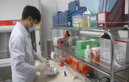 Viện Pasteur Nha Trang tiếp tục nhận hỗ trợ xét nghiệm Covid-19