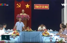 Đồng chí Trần Quốc Vượng làm việc tại Cà Mau