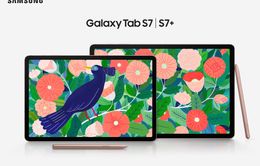 Galaxy Tab S7 và S7+ chính thức mở bán tại Việt Nam, lên kệ ngày 11/9