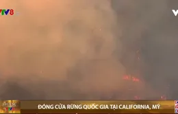 Mỹ: đóng cửa rừng quốc gia tại California