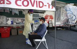 Tổng số người nhiễm COVID-19 trên toàn cầu vượt 29 triệu​ ca