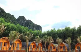 Bộ NN&PTNT chỉ rõ hạn chế của farmstay