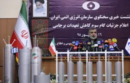 Nhiều nước châu Âu ủng hộ nới lỏng trừng phạt Iran