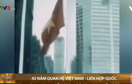 43 năm quan hệ Việt Nam - Liên Hợp Quốc