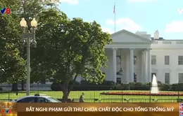 Bắt nghi phạm gửi thư chứa chất cực độc cho Tổng thống Donald Trump