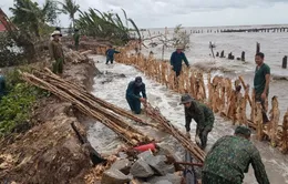 Sạt lở nghiêm trọng, thân đê biển Tây cao hàng mét bị xói tới gốc