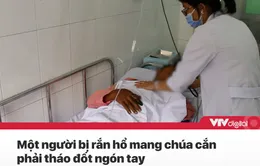 Tin nóng đầu ngày 29/9: Tháo đốt ngón tay vì bị rắn hổ mang chúa cắn