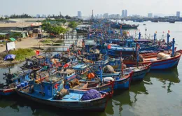 Vì sao Việt Nam vẫn chưa thể gỡ "thẻ vàng" cho thủy sản?