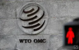 WTO ủng hộ EU đánh thuế hàng hóa Mỹ do trợ cấp máy bay