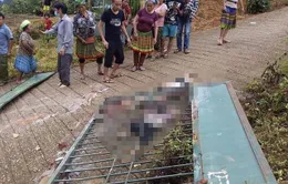 Thủ tướng yêu cầu làm rõ nguyên nhân vụ sập cổng trường khiến 3 học sinh tử vong