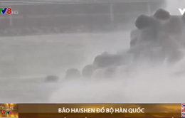 Bão Haishen đổ bộ Hàn Quốc