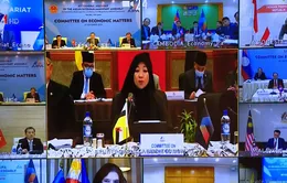 “AIPA phải đóng vai trò quan trọng trong thúc đẩy phục hồi kinh tế khu vực”