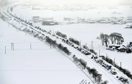 Hơn 1.200 phương tiện mắc kẹt do tuyết rơi dày đặc ở Nhật Bản