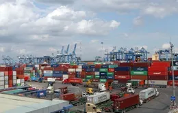 Giá container tăng “khủng” sẽ kéo dài đến quý II/2021