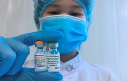 Vaccine Nano Covax đã được thực hiện các xét nghiệm quan trọng để đánh giá tính sinh miễn dịch