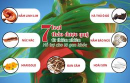 7 thảo dược quý tự nhiên giúp bảo vệ và giảm các triệu chứng bệnh về gan