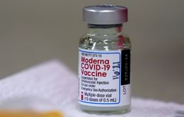 Muốn tăng tốc độ tiêm chủng, Mỹ tính giảm nửa liều lượng tiêm vaccine Moderna