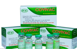 Tuyển tình nguyện viên từ 40 - 59 tuổi tham gia nghiên cứu thử nghiệm lâm sàng vaccine COVIVAC