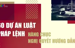 Hệ thống tòa án đẩy mạnh cải cách tư pháp, nâng cao chất lượng xét xử