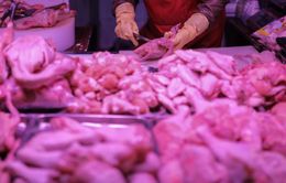 Trung Quốc phát hiện ổ dịch tại nhà máy chế biến thịt gà