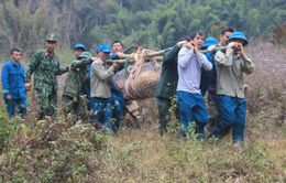 Hủy nổ thành công quả bom nặng khoảng 340 kg sót lại sau chiến tranh