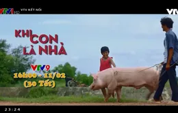 Điểm hẹn phim Tết trên kênh VTV9