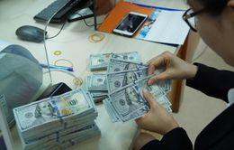 Giá USD tự do “giảm nhiệt”