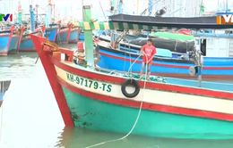Tiếp sức hỗ trợ cho ngư dân bám biển đầu năm mới 2021