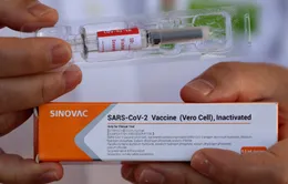 Indonesia bắt đầu phân phối vaccine ngừa COVID-19 trên toàn quốc