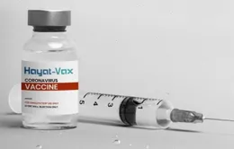 Cấp Giấy chứng nhận xuất xưởng 7 lô vaccine Hayat-Vax