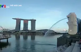 Singapore: Mất ít nhất 3 tháng nữa để đạt "bình thường mới"