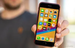 Apple iPhone SE 3 sẽ có thiết kế giống với iPhone SE (2020)