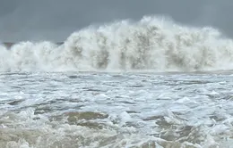 Bão số 8 giật cấp 12 gây gió mạnh trên biển