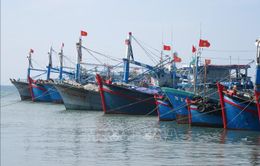 Khắc phục “thẻ vàng” IUU: Xây dựng, bổ sung kế hoạch thực hiện chống khai thác IUU phù hợp