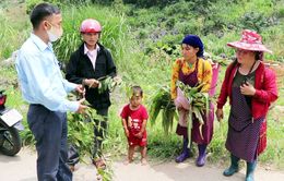 Hà Giang tăng cường truyền thông phòng chống ngộ độc thực phẩm tại các xã có nguy cơ cao