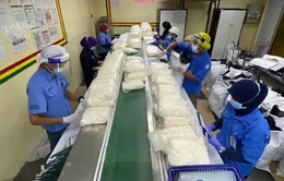 Nhiều nước ASEAN “khát” lao động