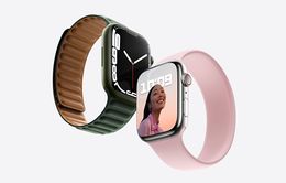 Tính năng sạc nhanh trên Apple Watch Series 7 không hỗ trợ tại Việt Nam