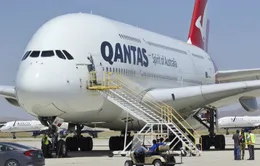 Hãng hàng không Qantas chuẩn bị mở lại các chuyến bay quốc tế từ Sydney