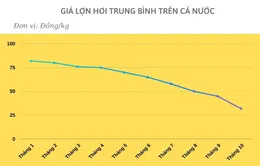 Giá thịt lợn đã "nhảy múa" như nào trong 10 tháng qua?