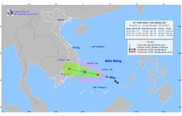 Áp thấp nhiệt đới cách bờ biển Khánh Hòa – Ninh Thuận khoảng 140 km, sức gió giật cấp 10