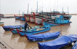 Các địa phương khẩn trương ứng phó với mưa lũ và áp thấp nhiệt đới